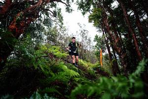 BIB: 
                            <button type="button" onclick="openModal(26204267)" class="btn btn-primary btn-sm float-right btn-popup" data-toggle="modal" data-target=".modal-high-quality">
                        <i class="fas fa-shopping-cart"></i> Add to Cart
                    </button>
                                            <button type="button" onclick="isThisMe(26204267, true)" class="btn btn-success btn-sm float-right btn-popup btn-isme hidden" data-toggle="tooltip" data-placement="bottom" title="นี่คือรูปของคุณใช่ไหม คลิกที่นี่เพื่อเอาเข้าอัลบั้ม">
                        <i class="fas fa-plus"></i> Add to album
                    </button>
                    <button type="button" onclick="isThisMe(26204267, false)" class="btn btn-warning btn-sm float-right btn-popup btn-isnotme hidden">
                        <i class="fas fa-ban"></i> Remove from album
                    </button>